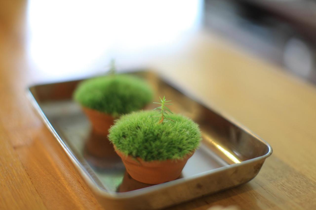 Yakushima Minsyuku Suginoko Bed & Breakfast Exterior photo